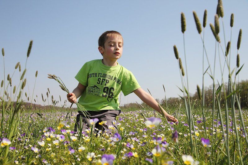 Фиалкины сны фото превью