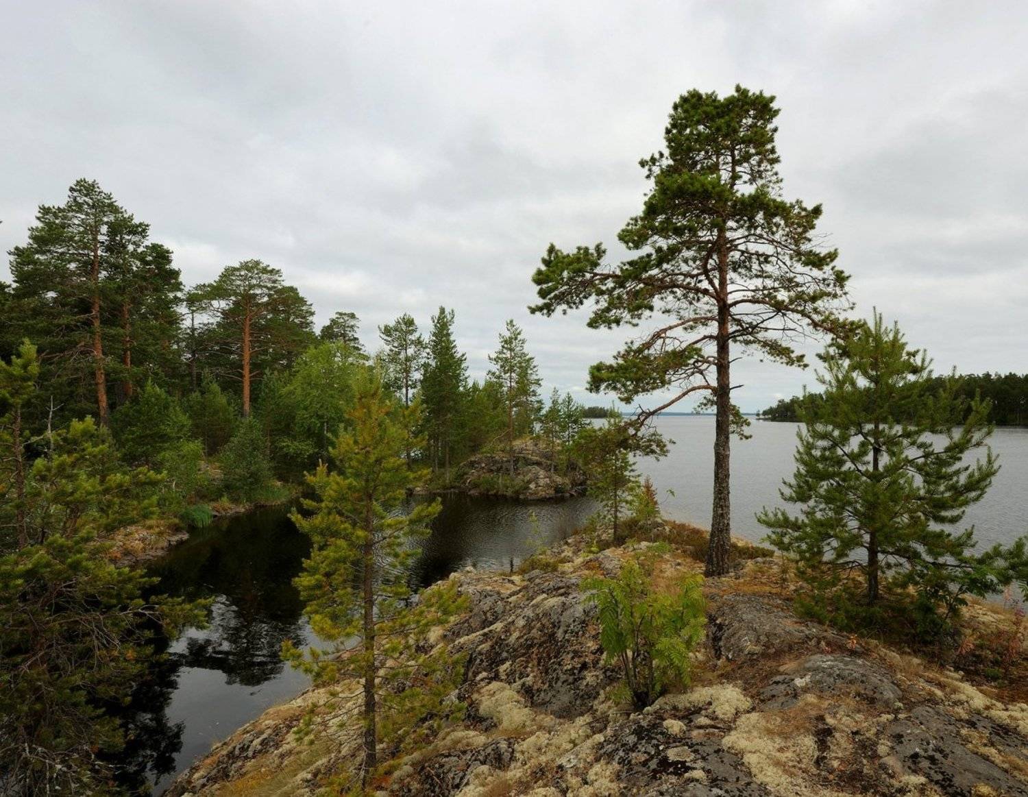 , Сергей Седов