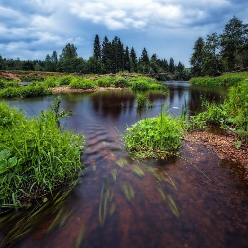 прохладный летний день фото превью