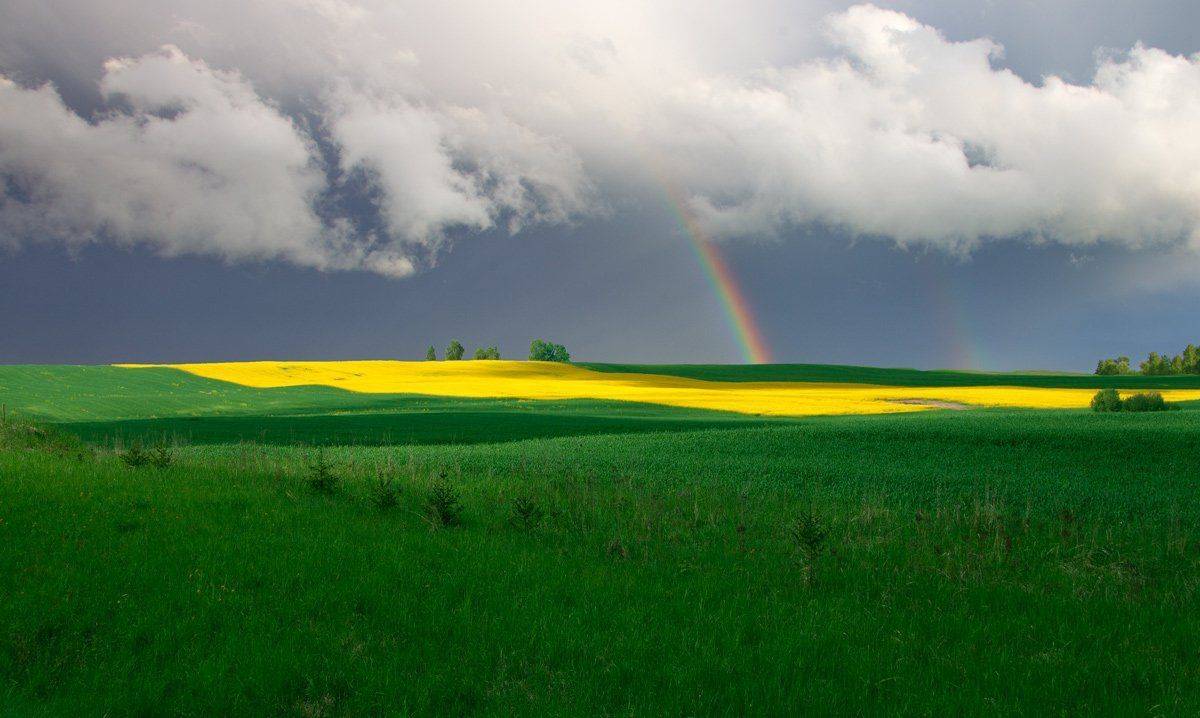 , Валерий Кондратов