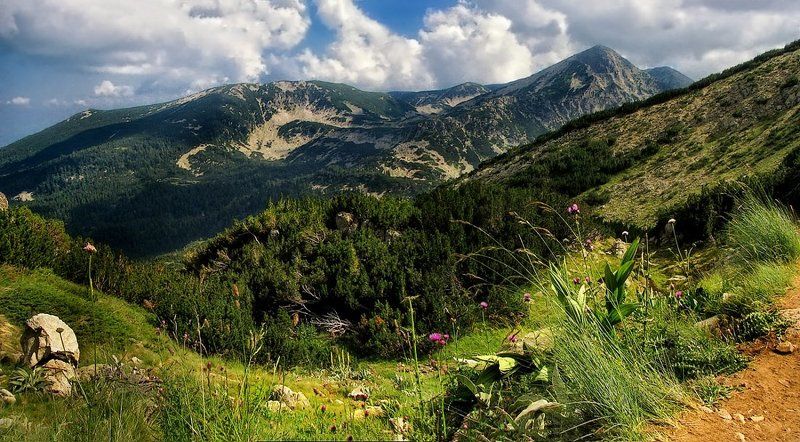 гора Пирин (Pirin mountain) фото превью