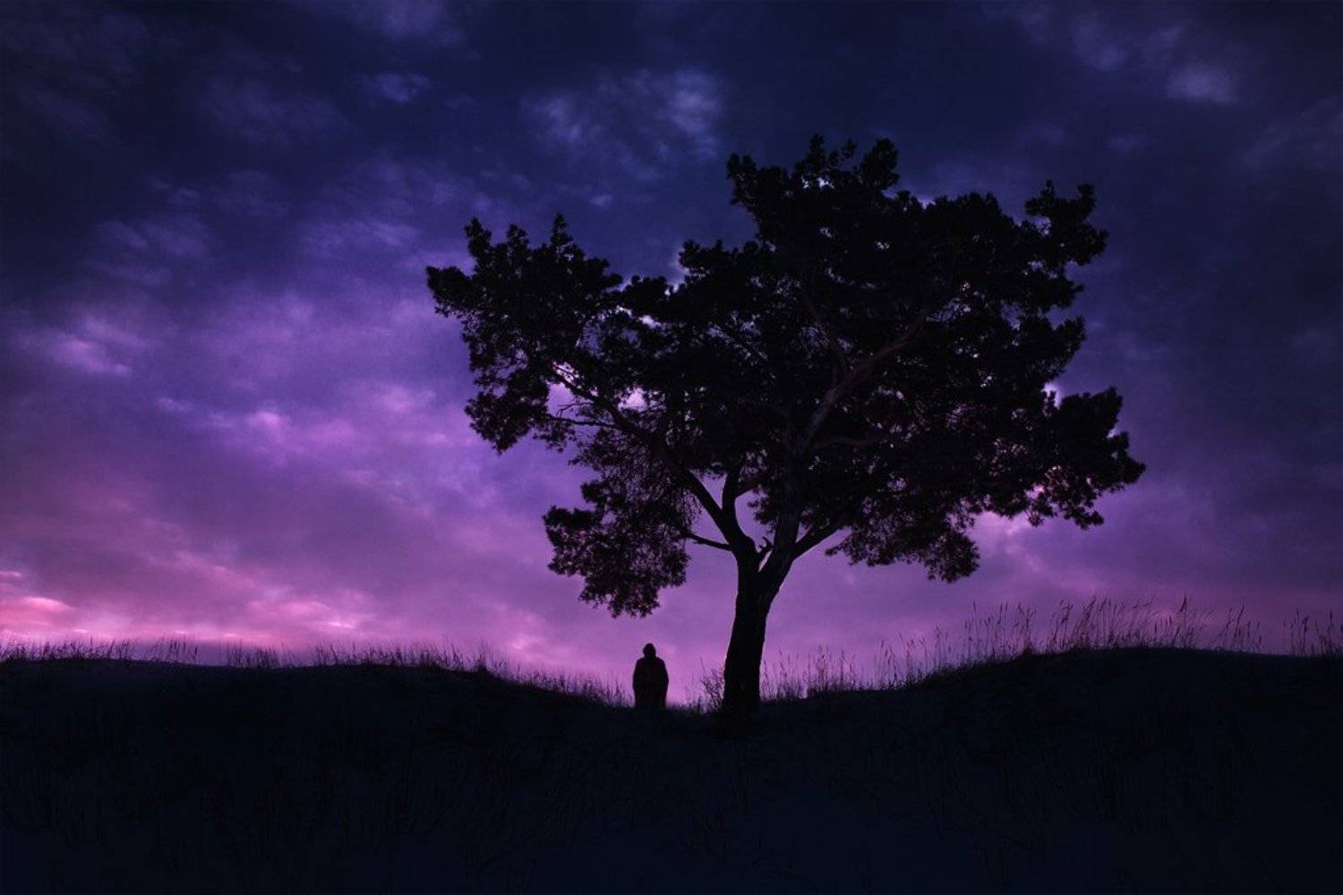 , Кондратенко Кирилл