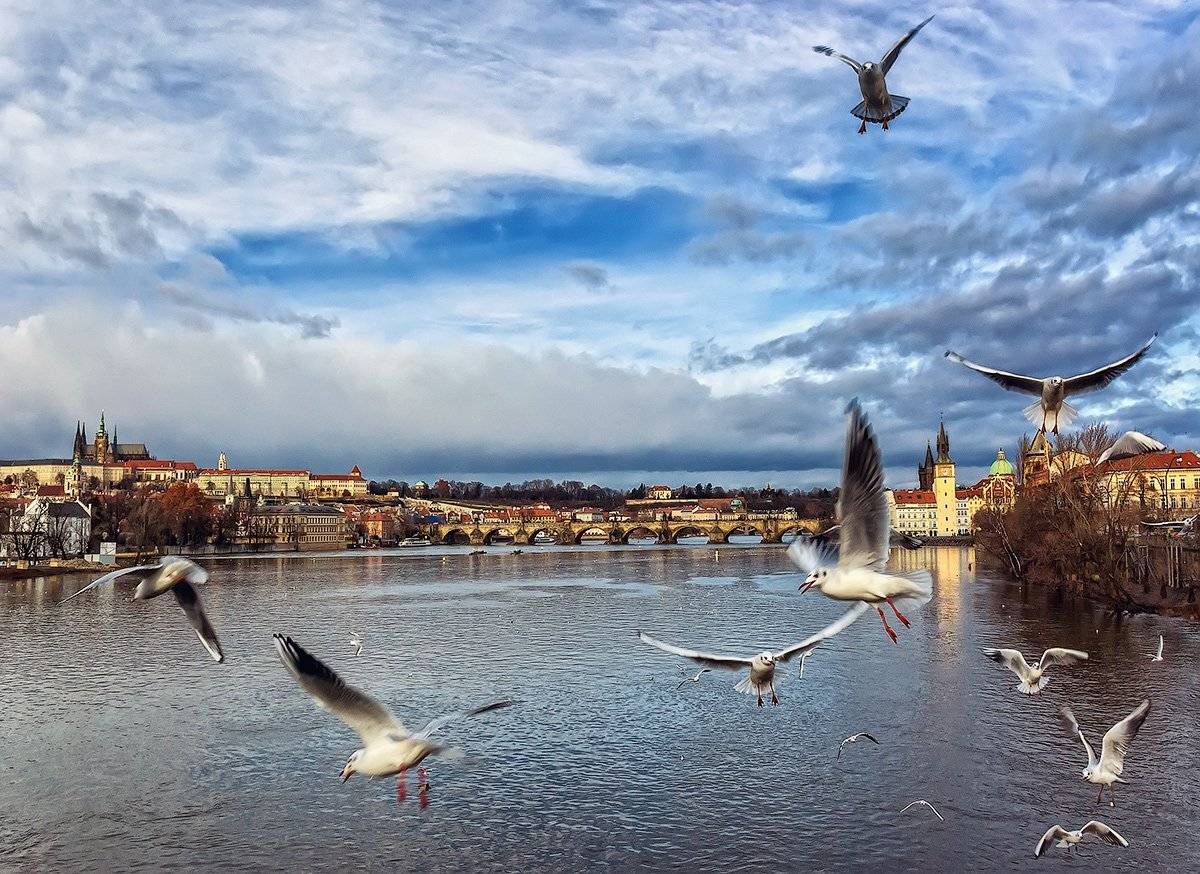 , Игорь Мелекесцев