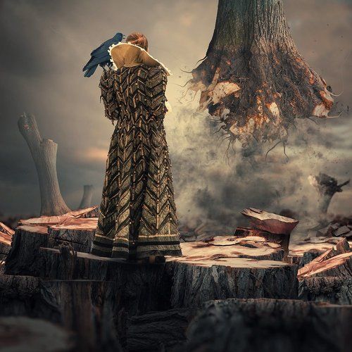 Wooderland