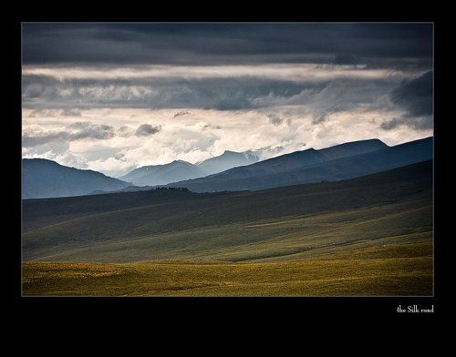 два десятка Ovis ammon polii, неожиданно появившиеся при обработке сцены вечернего дождя