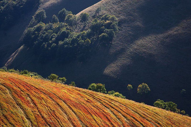 легенды осени... фото превью