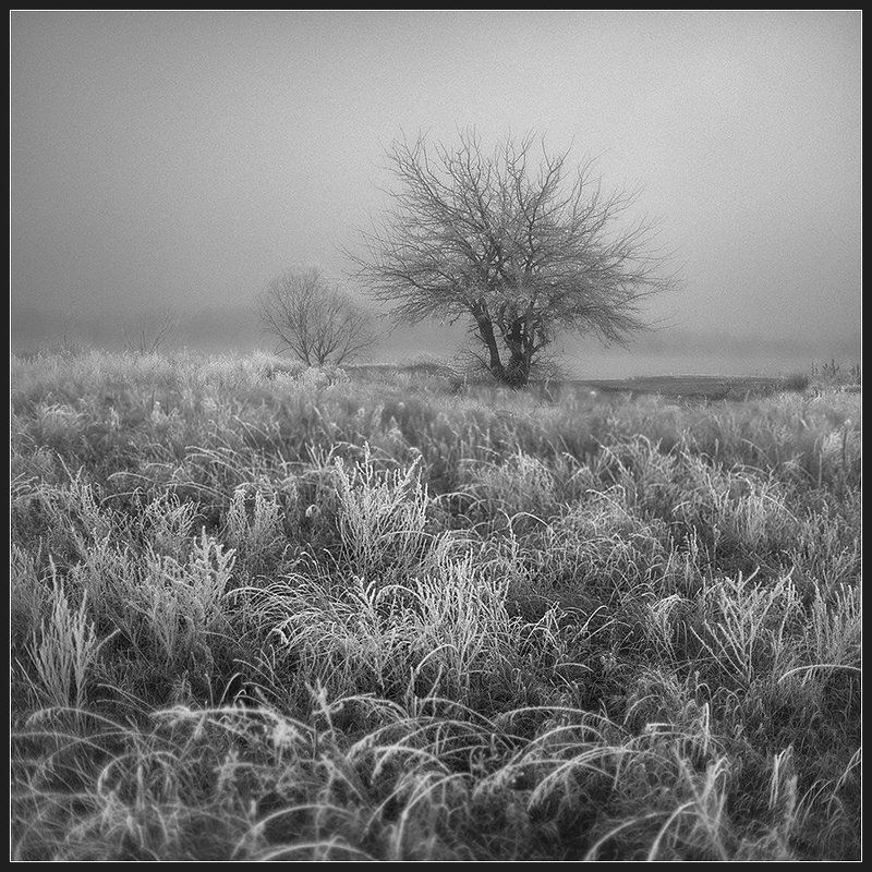 Иней... фото превью