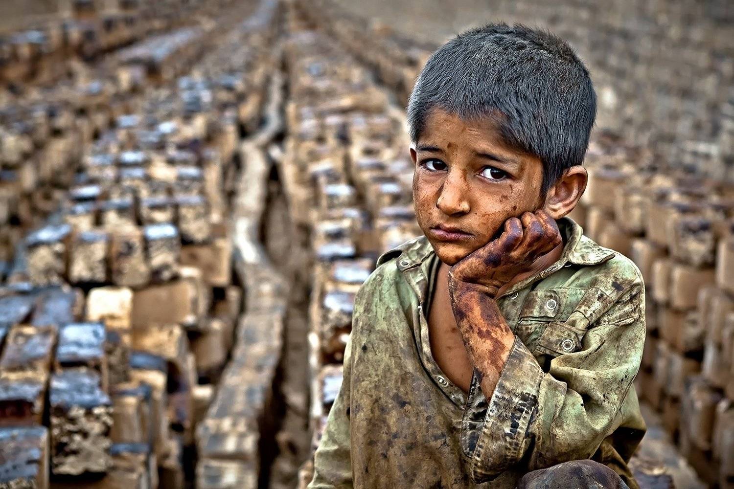 , Mohammadreza Momeni