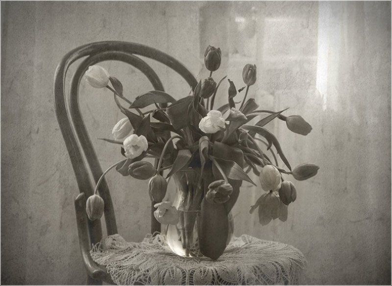 foto liubos, натюрморт, тюльпаны Полдень... фото превью