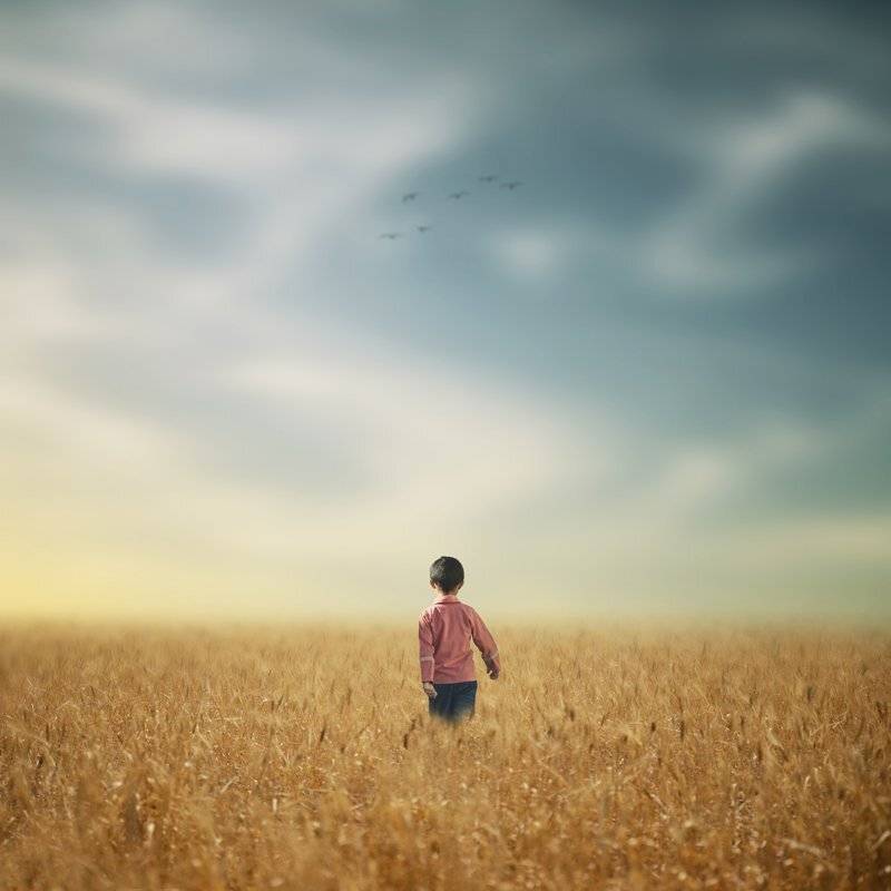 , Hossein Zare