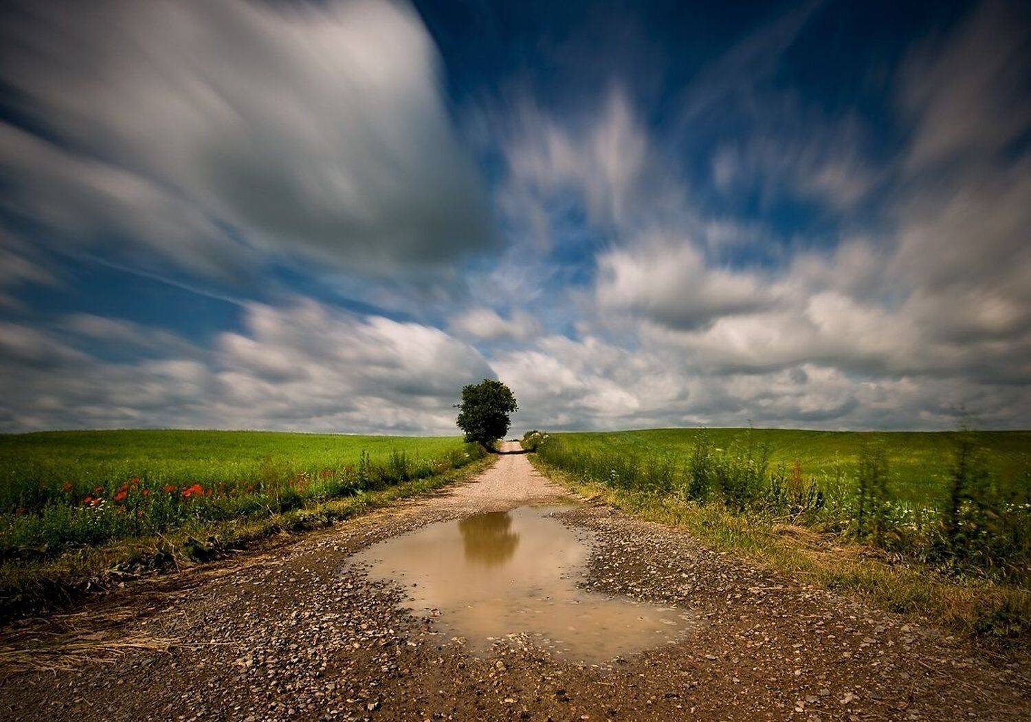 , Miroslaw Grobelski