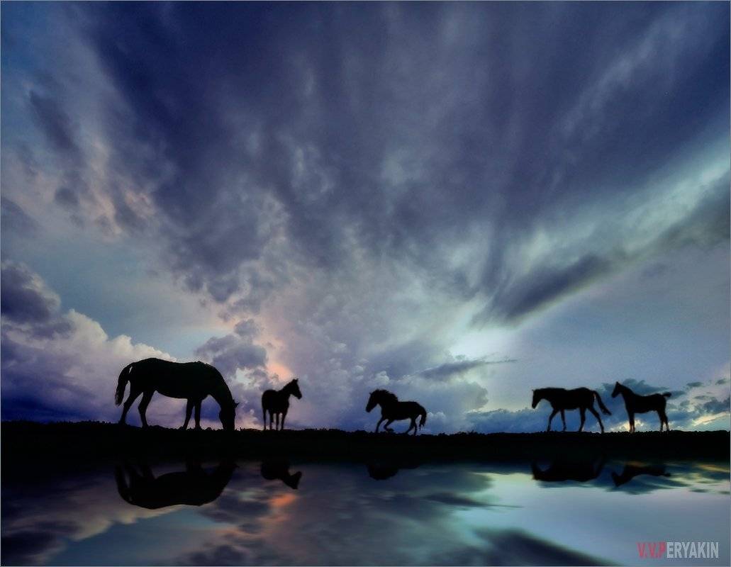 , Виктор Перякин