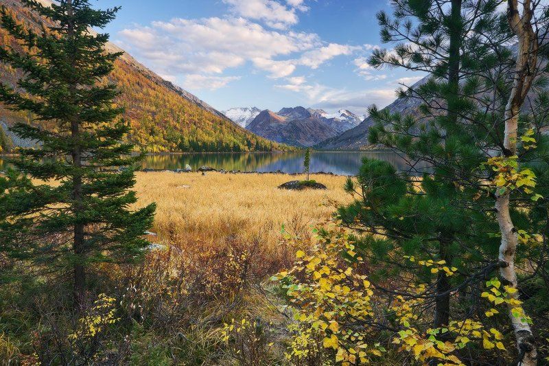 алтай, altai ~ Мультинская гармония ~ фото превью