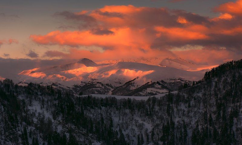 РАССВЕТНЫЕ БАМБАКИ фото превью
