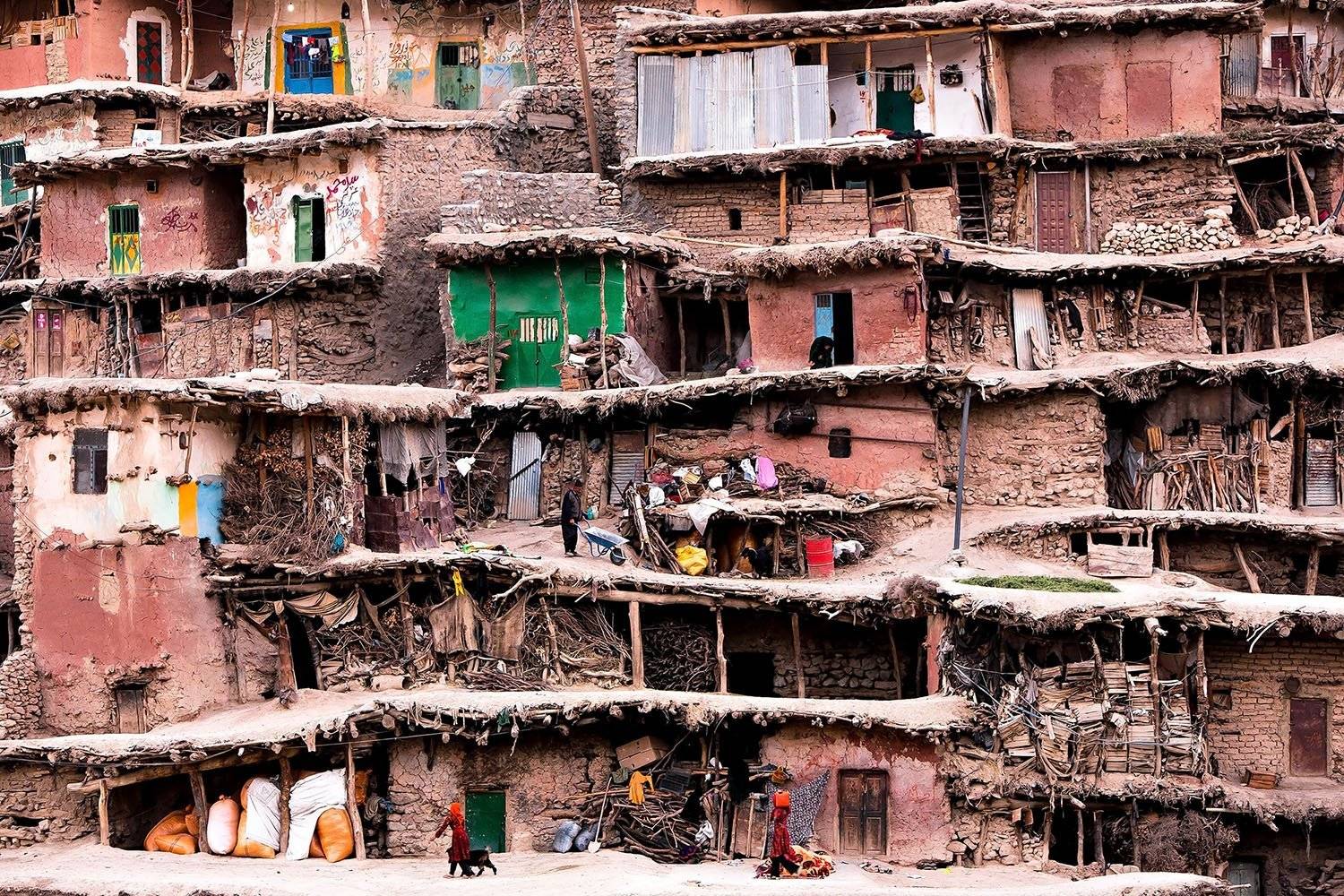 , Mohammadreza Momeni