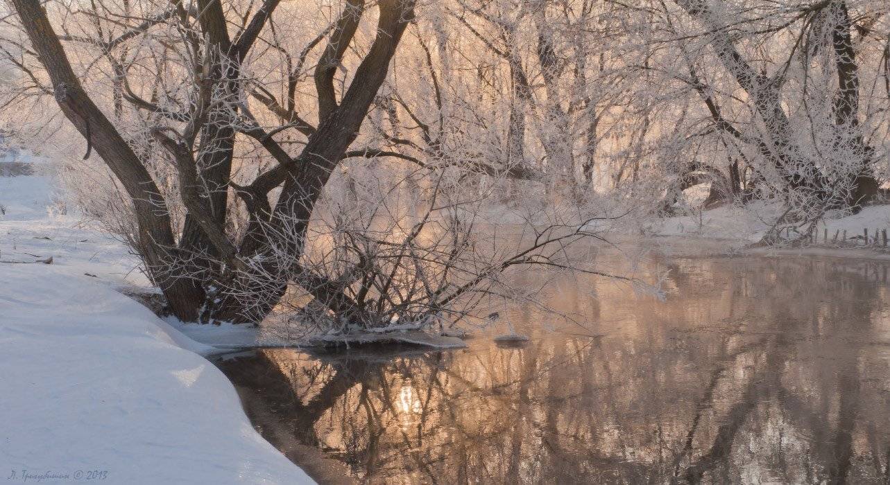 , Любомир Тригубишин