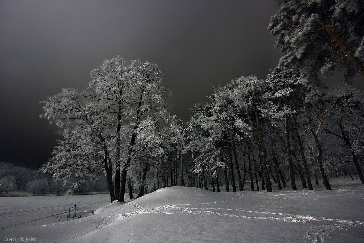 беларусь, мир, , зима, ночь, снег, иней, Melnik-oy Serg-N-