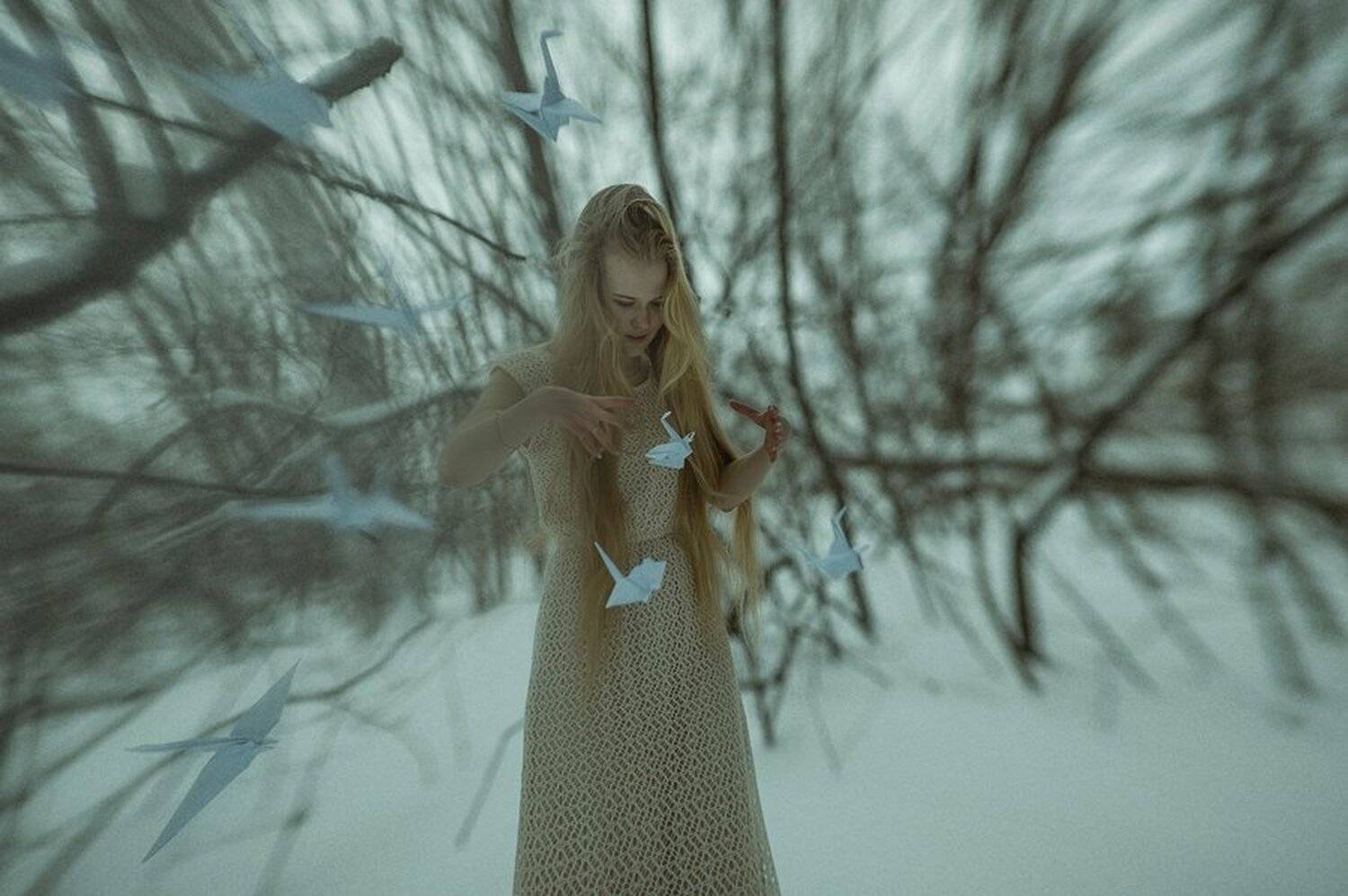 , Александр Зайцев
