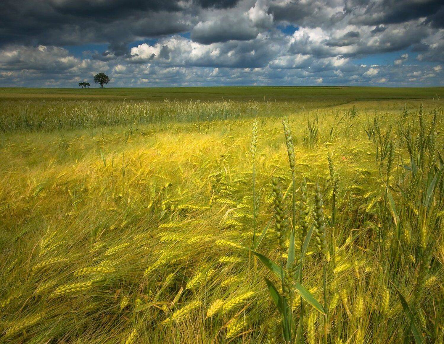 , Miroslaw Grobelski