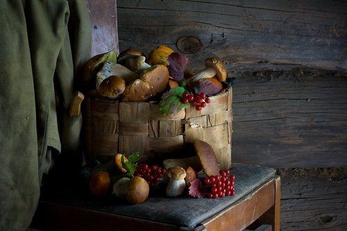 Подарки осеннего леса