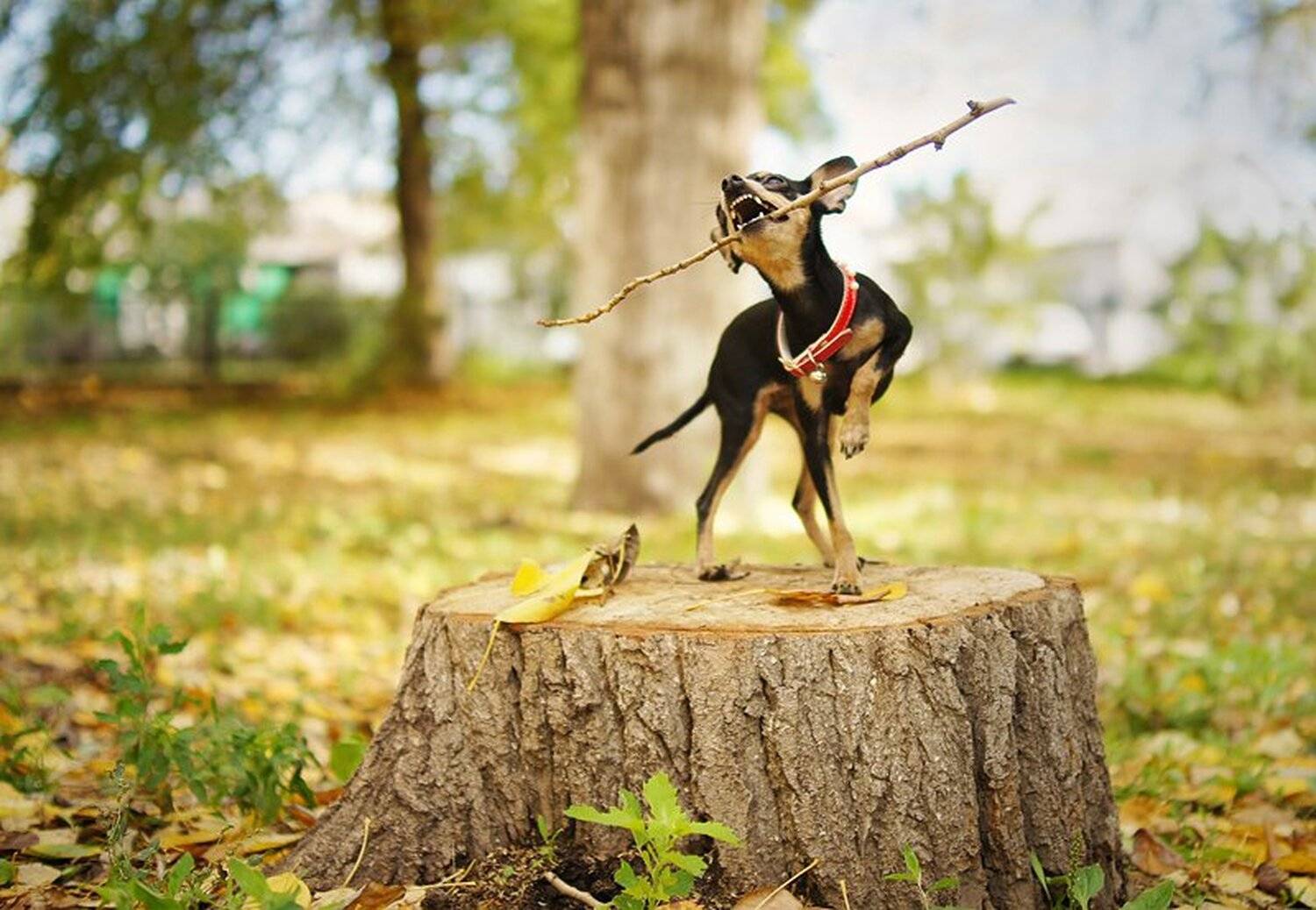 , Татьяна Морозова