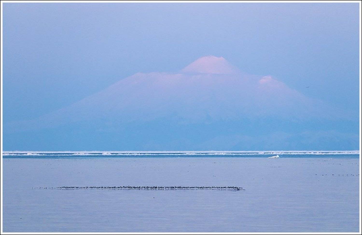 , Ольга Куликова