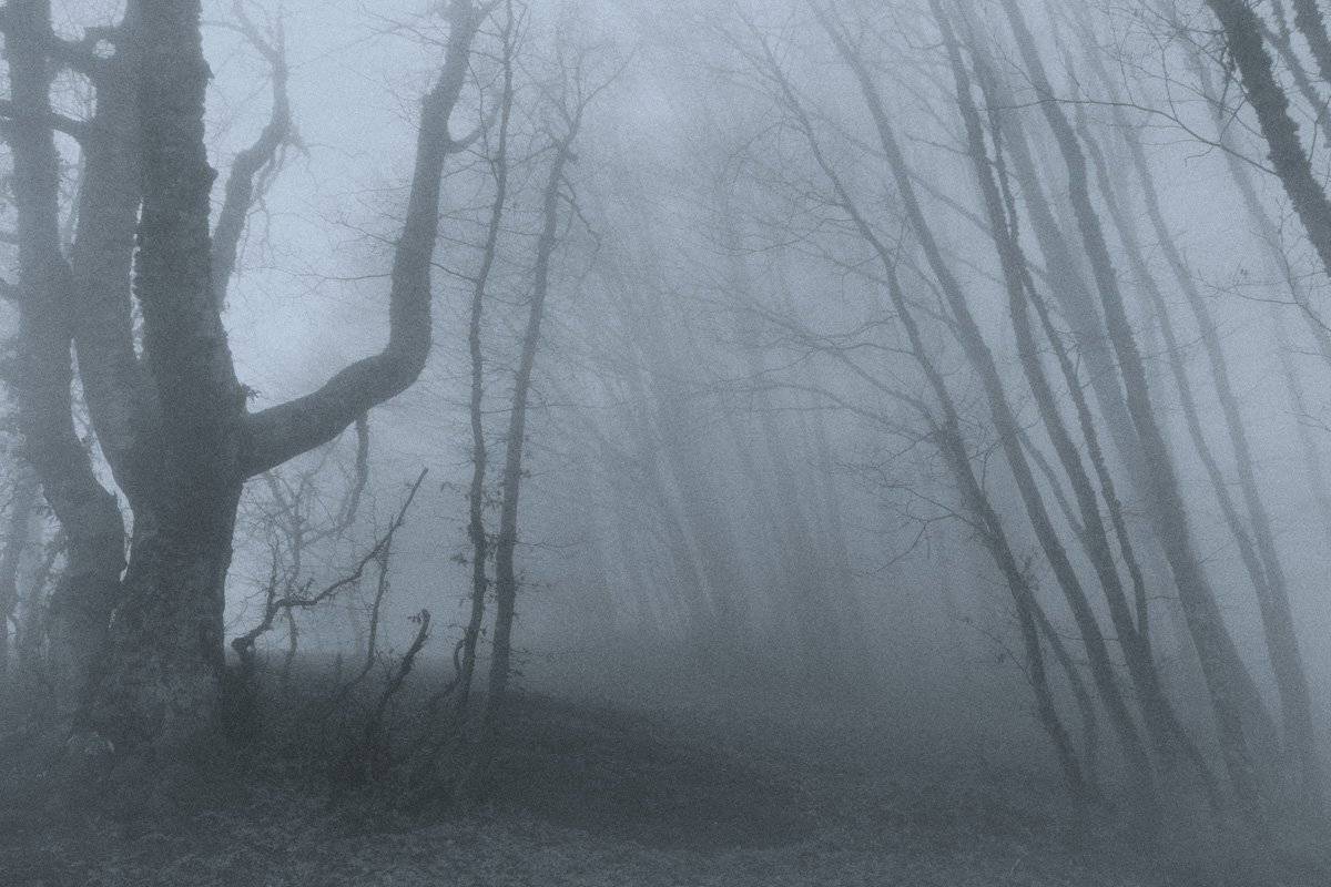 , Виталий Ра