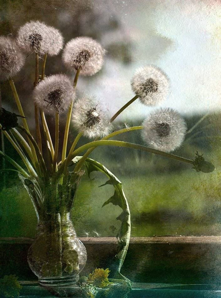 , Людмила Прокофьева