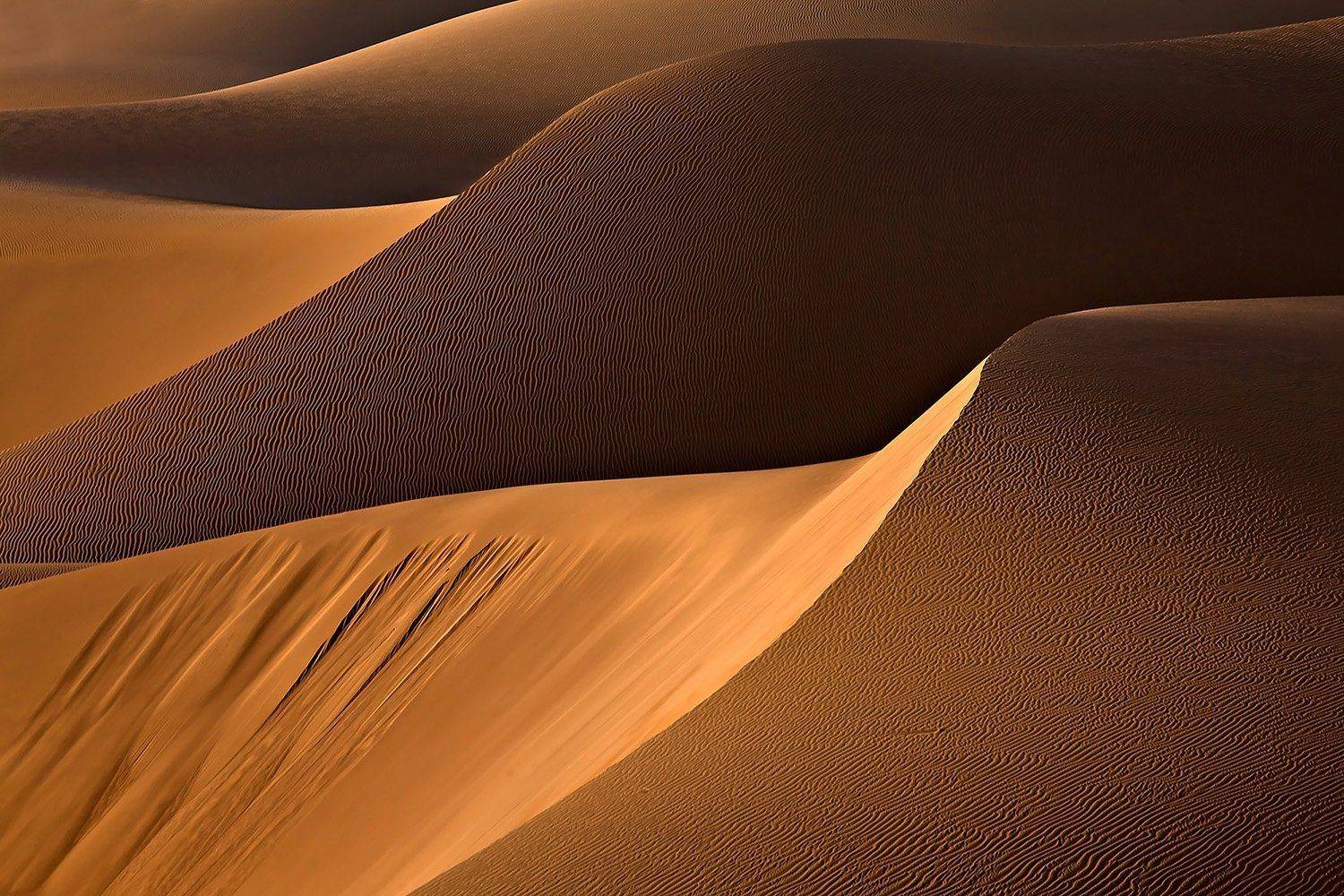 , Mohammadreza Momeni