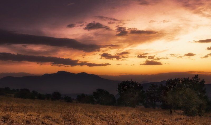 ***** фото превью