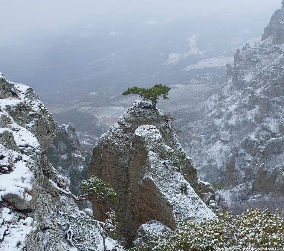 крым, горы, туман, зима, снег, дерево, Serge Titov