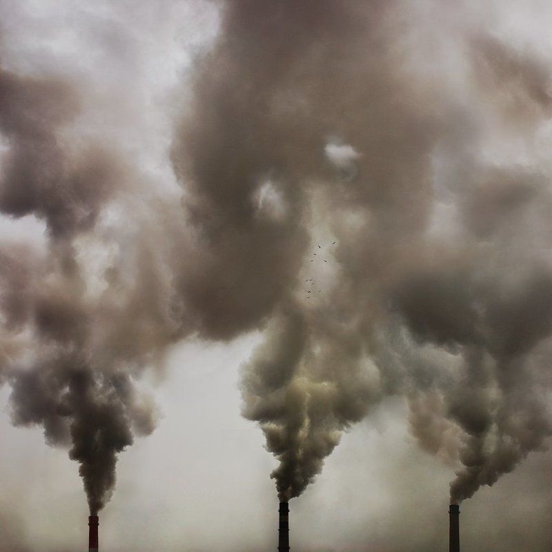 Third breath фото превью