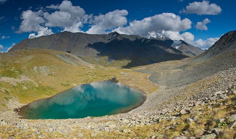 горы, алтай, река, елангаш, ирбисту вид на Ирбисту фото превью