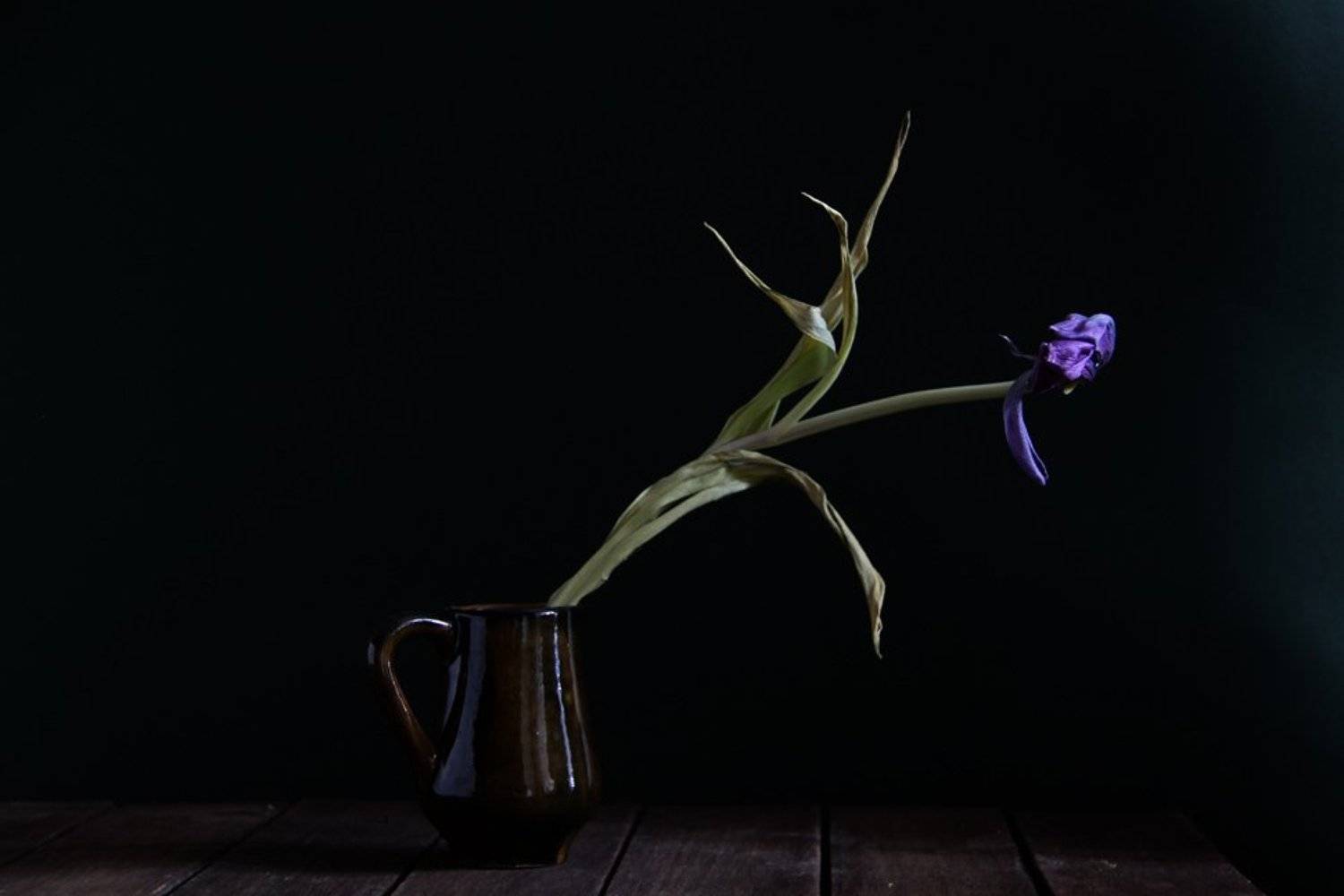 натюрморт, Svetlana Ра