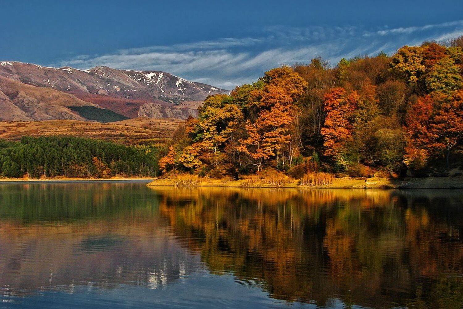 , Ирина Костова