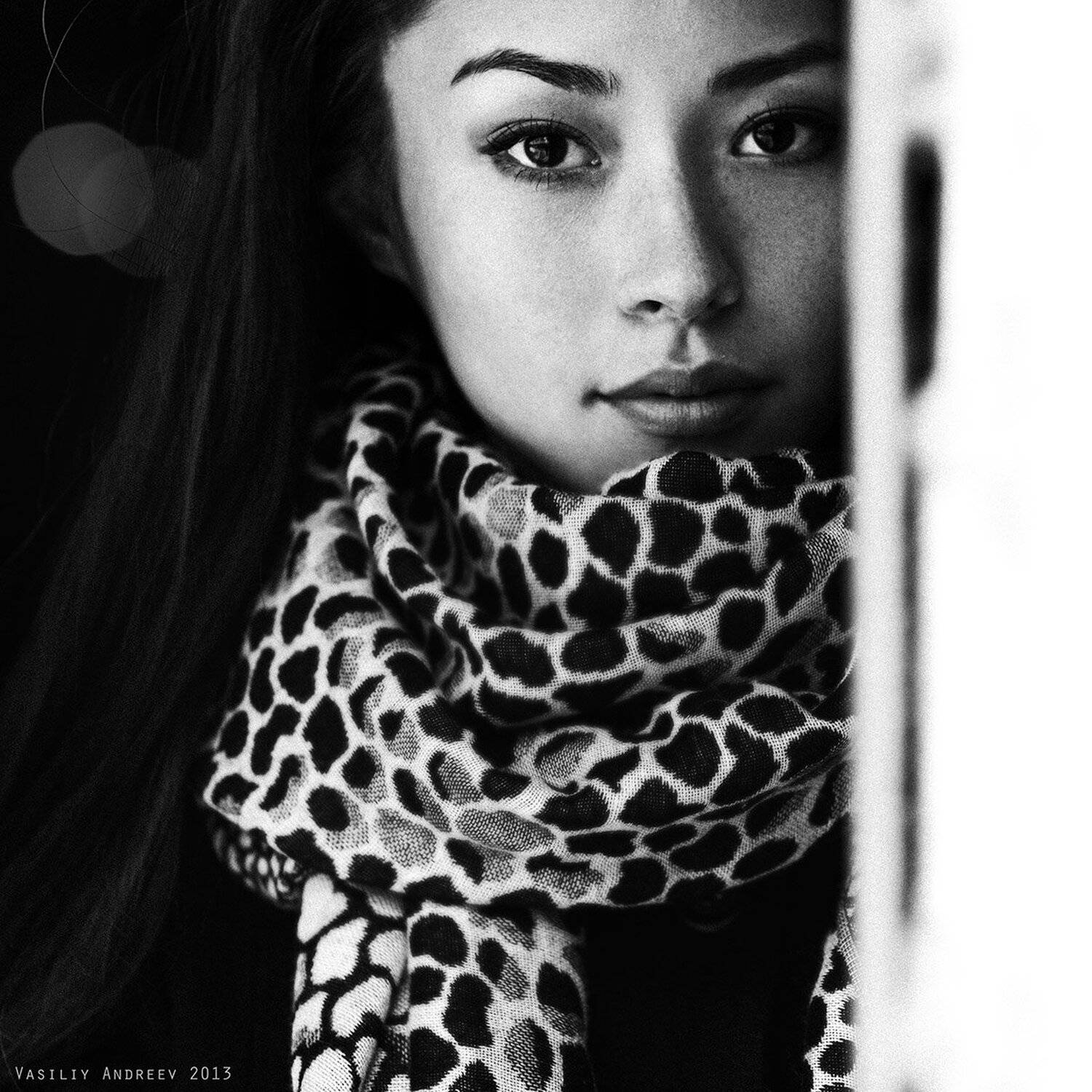 , Василий Андреев