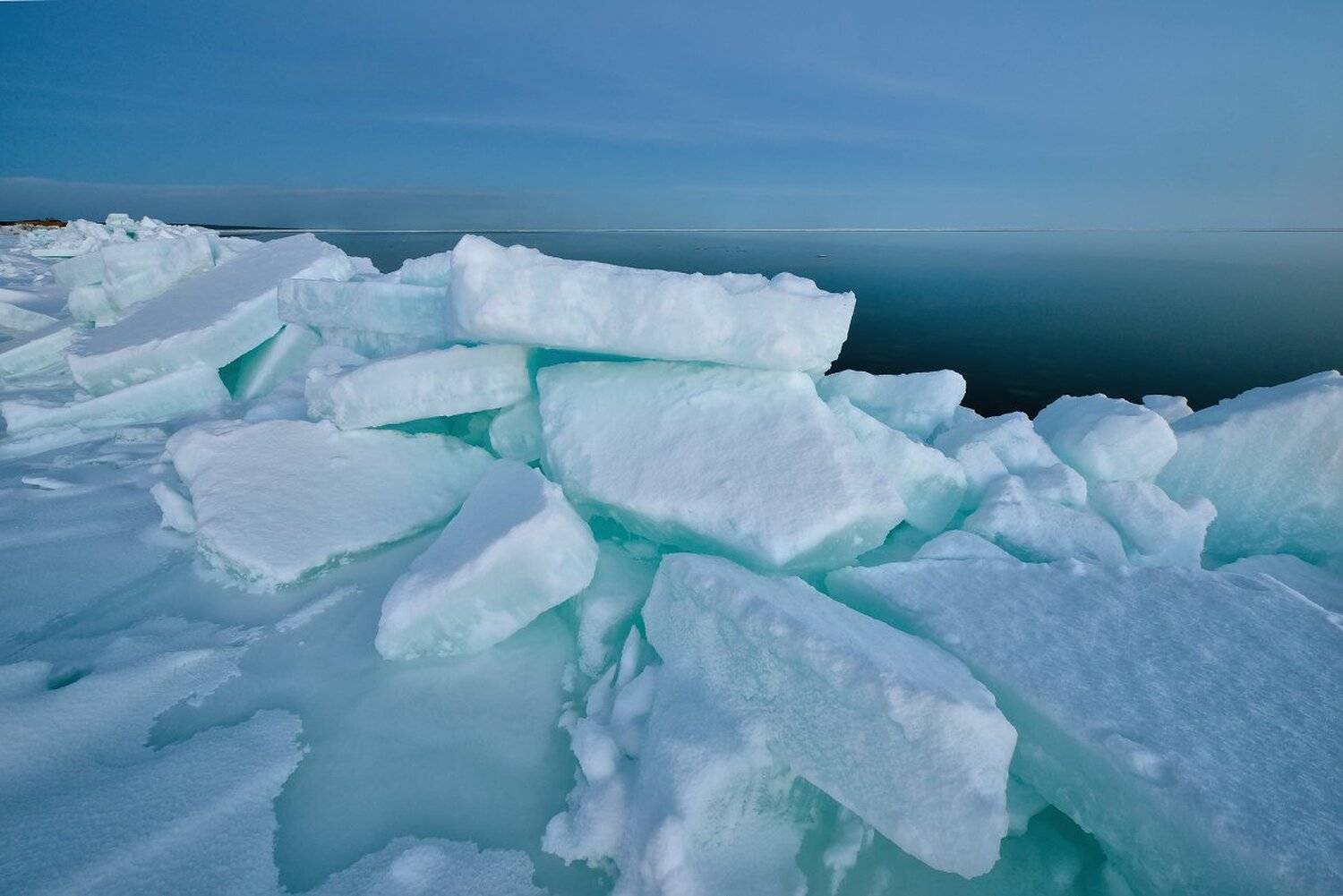 , Максим Евдокимов