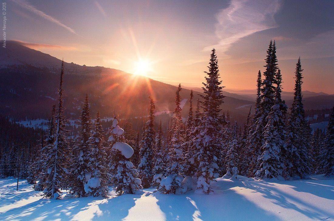 сибирь, россия, ергаки, горы, елки, снег, зима, рассвет, солнце, мороз, Александр 'Horimono' Нерозя