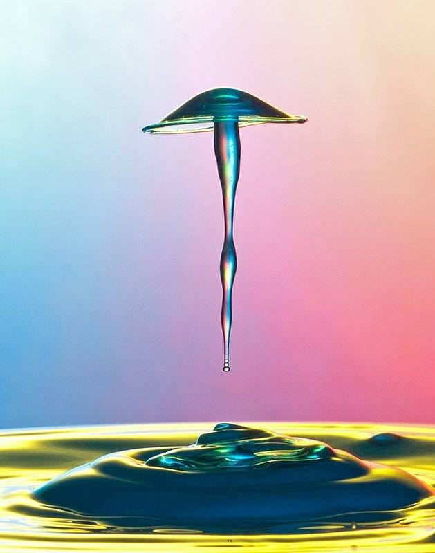 waterdrop,splash,drop, mustafa yagci
