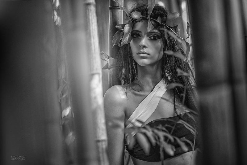 sami фото превью