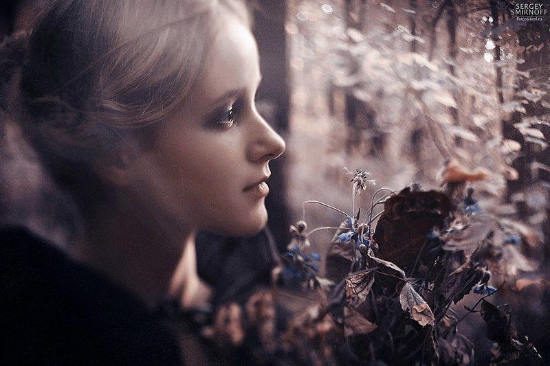 woodland фото превью