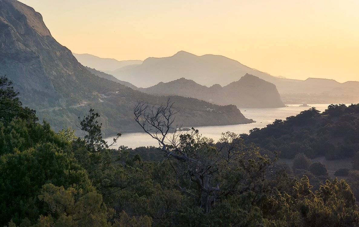 , Игорь Мелекесцев