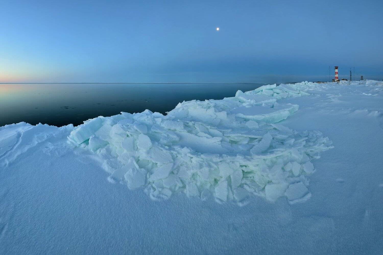 , Максим Евдокимов