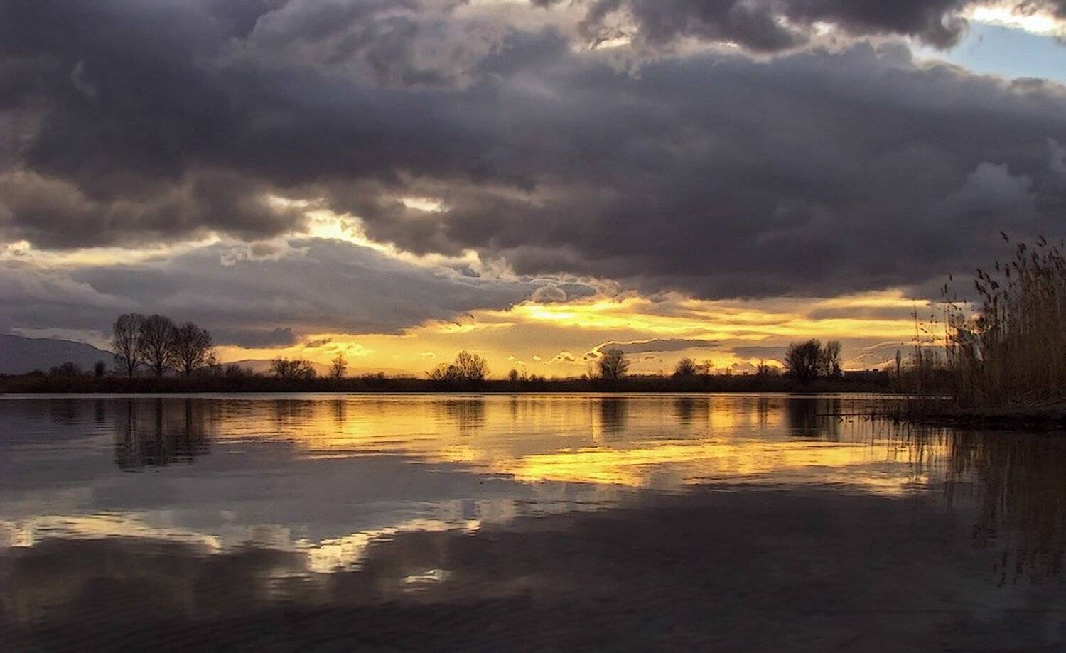 , Ирина Костова