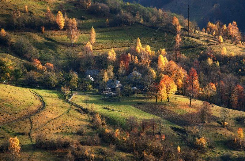 карпаты, осень, свет ...Осень... фото превью