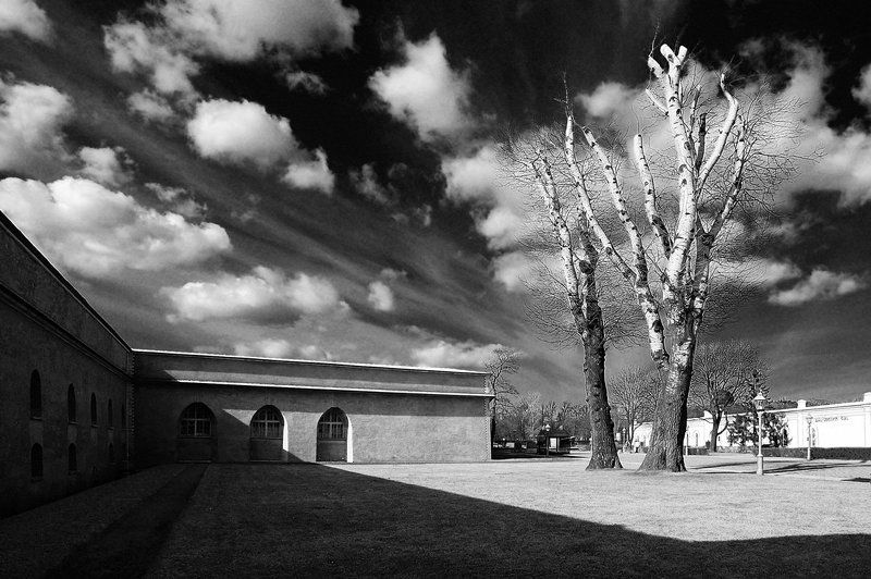 ***** фото превью