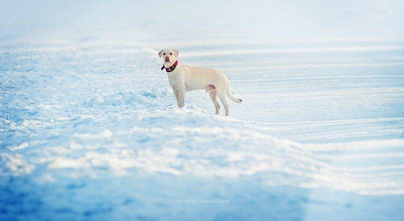 , Осипова Дарья