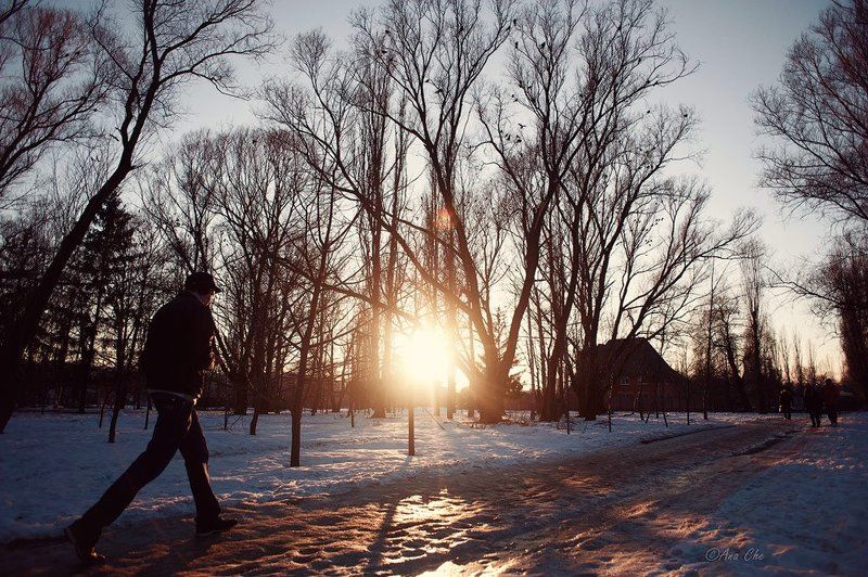 Ждем весну... фото превью