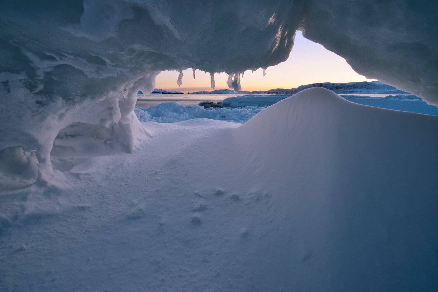, Максим Евдокимов