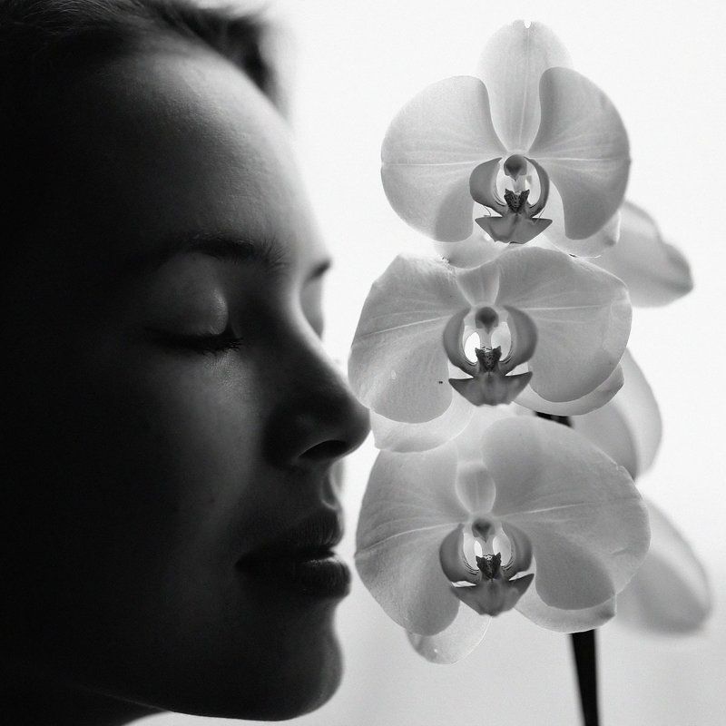 Совершенство фото превью